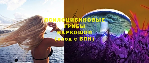 jwh Белокуриха