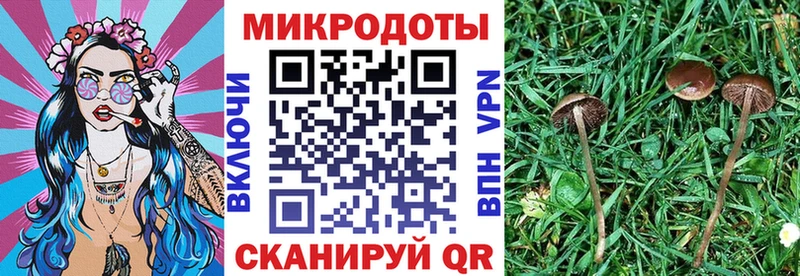 Псилоцибиновые грибы ЛСД  Тайга 